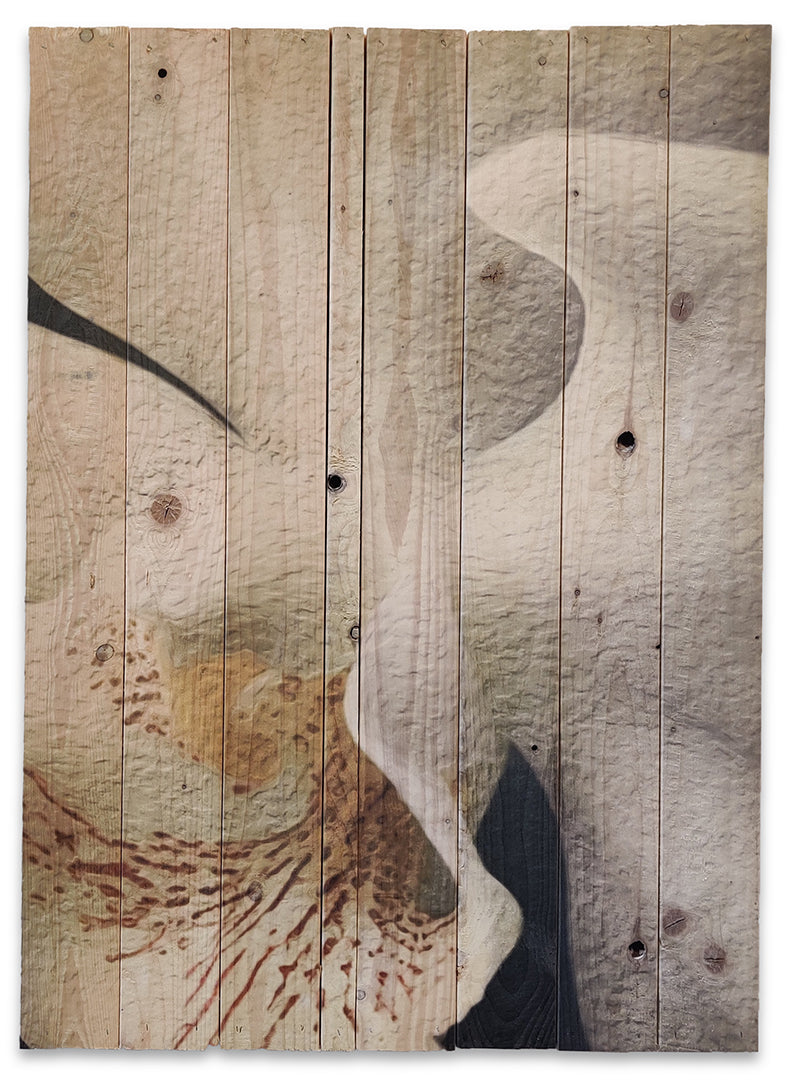 Hvid orkide i lyse farver lavet på plankeboard, fås i flere størrelser.