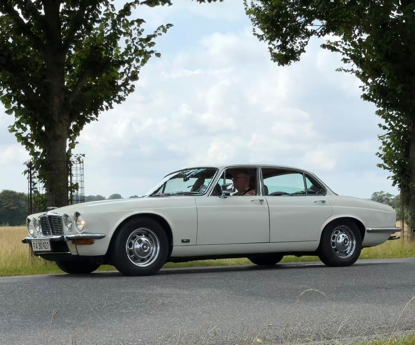 Linda - Hvid Jaguar